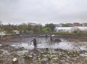 宜兴河道鱼塘清淤